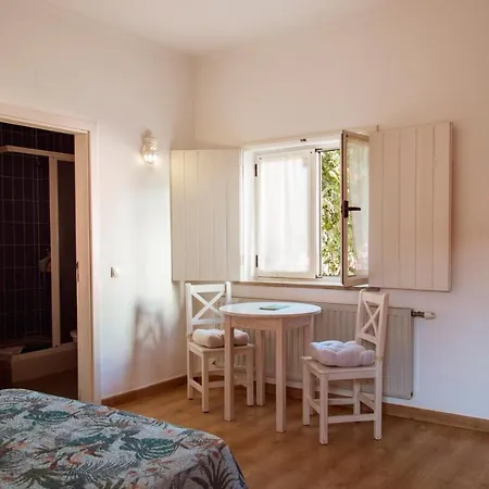 Casa Viana - Pensión 2*