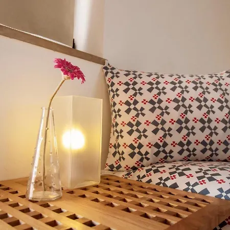 Casa Viana -
